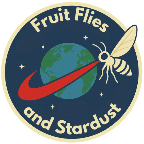 Fruit Flies and Stardust