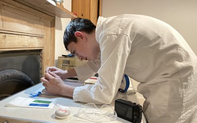 Training Fruit Flies – My Silver CREST Award